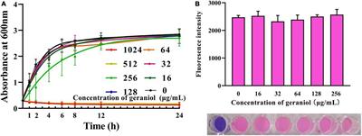 Geraniol inhibits biofilm formation of methicillin-resistant Staphylococcus aureus and increase the therapeutic effect of vancomycin in vivo